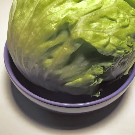 (Eisberg) Salat frisch halten