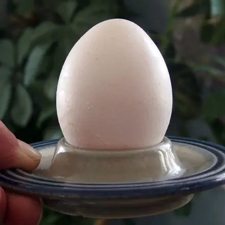 Frühstückseier leicht abpellen (schnell und einfach)