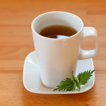 Brennnesseltee senkt den Blutzuckerspiegel