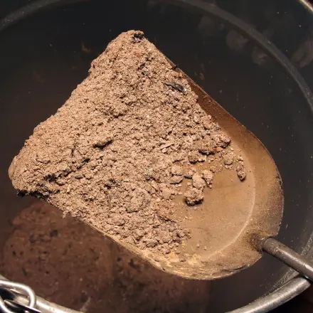 Holzasche gegen Schnecken