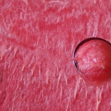 Wassermelone vielseitig einsetzbar