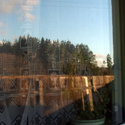 Kleiner Tipp beim Fenster putzen