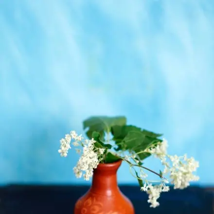 Blumen verschenken in Flohmarktvase oder -Gefäß