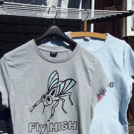 Das lästige Bügeln reduzieren