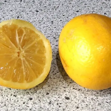 Zitrusfrüchte zu 100% verwerten