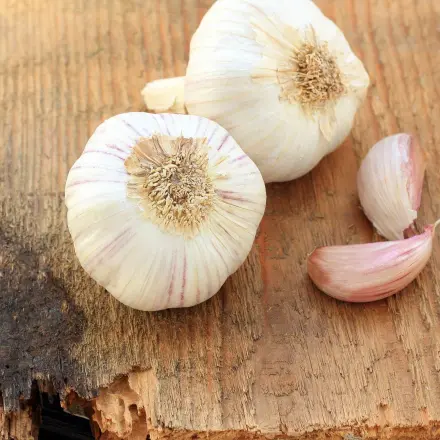 Gefrorenen Knoblauch reiben
