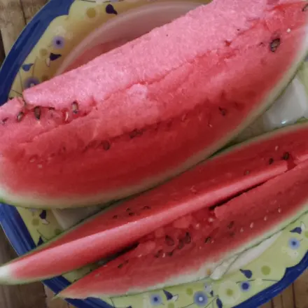 Schnecken bekämpfen mit Melone