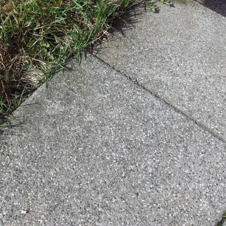 Bodenplatten draußen mit Backpulver sauber machen