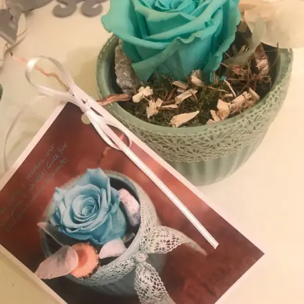 Preiswerte Geschenkanhänger