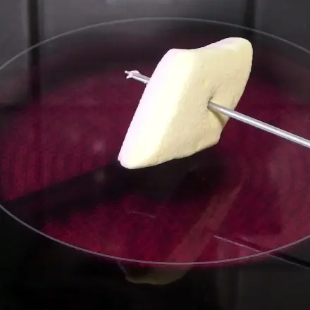 Gegrillte Marshmallows (geht auch ohne Lagerfeuer)