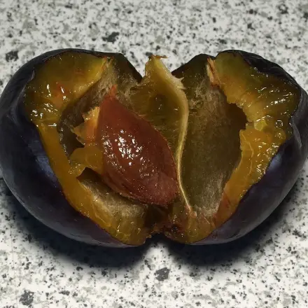 Zwetschgen entsteinen