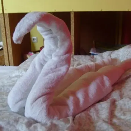 Handtuchtier - Handtücher dekorativ rollen