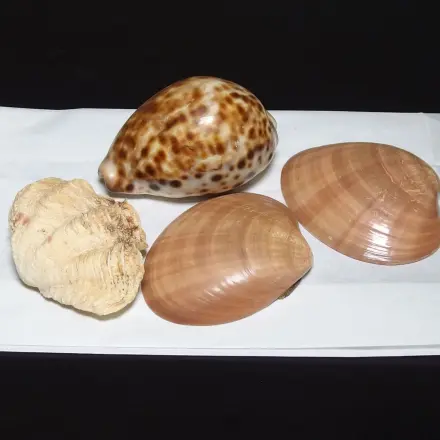 Frühstücksbeutelrolle - im Urlaub sehr nützlich