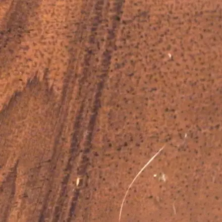 Nüsse gegen Kratzer auf Möbeln