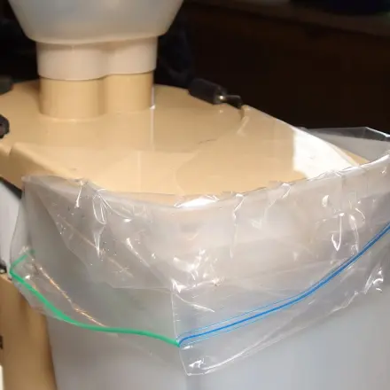 Trester bleibt sauber