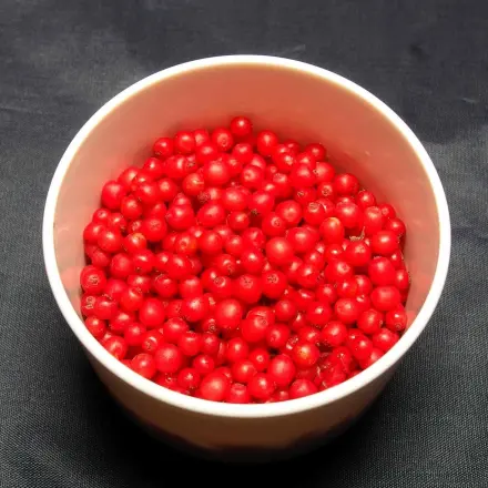 Fruchtsäurepeeling selbstgemacht mit roten Johannisbeeren