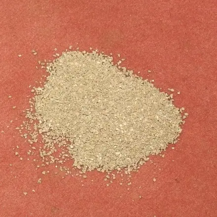 Erbrochenes mit Katzenstreu vom Teppich entfernen