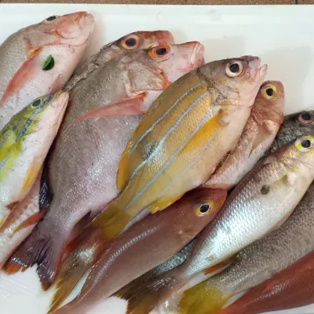 Fischgeruch verhindern