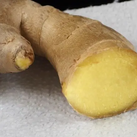 Ingwer lange frisch lagern