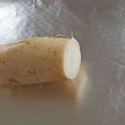 Meerrettich aufbewahren