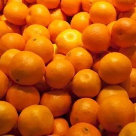 Wann zerfällt Vitamin C (Ascorbinsäure) beim Kochen?