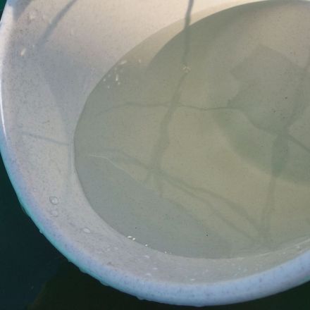 Schneller putzen mit "Spezial"-Wischwasser