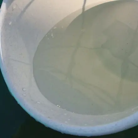 Schneller putzen mit "Spezial"-Wischwasser
