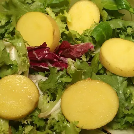 Welken Salat wieder auffrischen