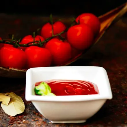 Tomatenketchup selbstgemacht