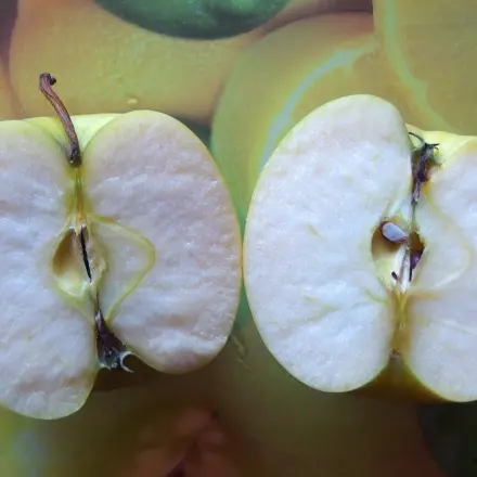 Angeschnittenes Obst wird an der Luft nicht braun