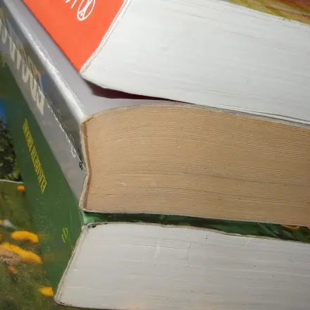 Kein Einkaufen mit Bibliothek-Büchern
