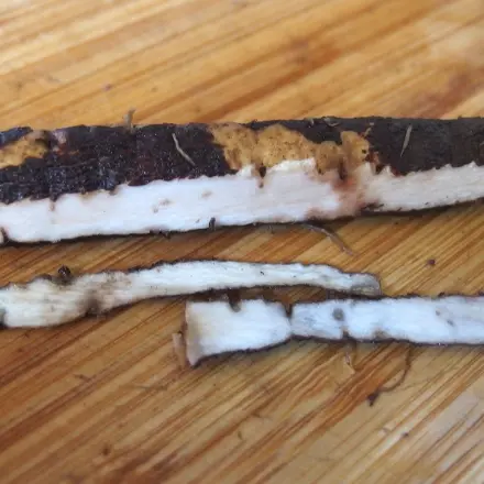 Schwarzwurzeln leicht schälen (3)