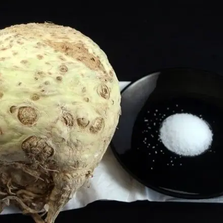 Sellerie-Salz selbst herstellen