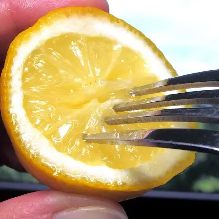 Zitronen auspressen im Restaurant