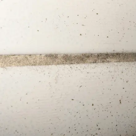 Fliesenfugen mit Handwaschpaste putzen