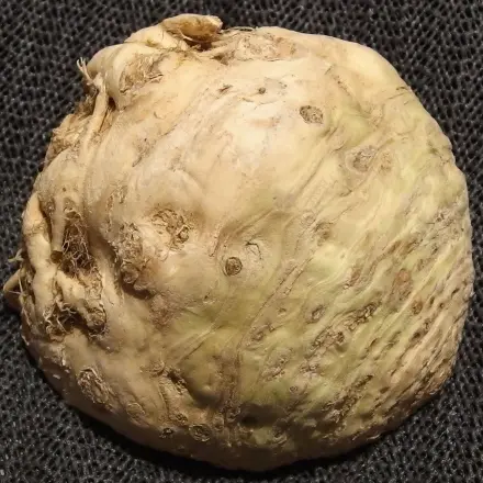 Alternative für Entwässerungstabletten