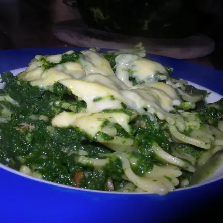 Nudeln in grüner Specksoße