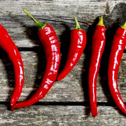 Chili - Auflage gegen Rückenschmerzen