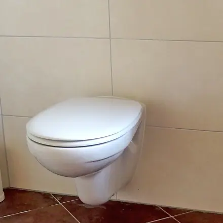 Toilette mit Waschmaschinenentkalker entkalken