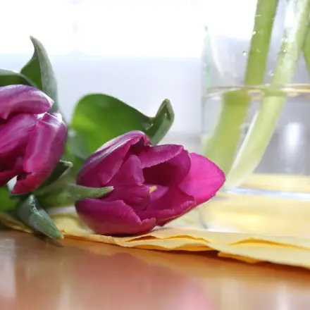 Tulpen in der Vase