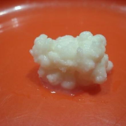 Selbstgemachter Kefir
