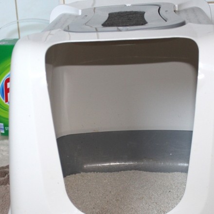 Achtung vor Waschpulver oder Waschlauge in der Nähe vom Katzenklo