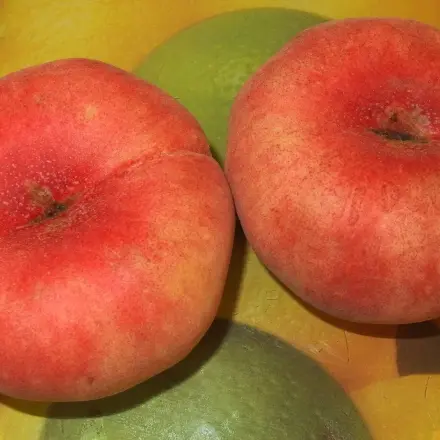 Tomaten oder Pfirsiche häuten mit Gasherd