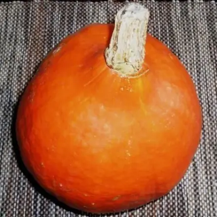 Hokkaido-Kürbis einfach mit Schale verarbeiten