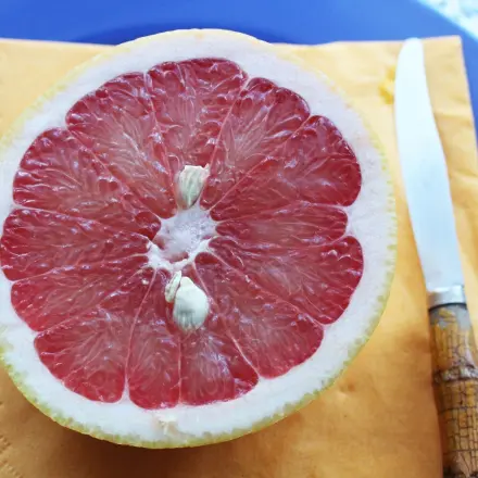 Gegen aufkommende Erkältung - Grapefruitkerne kauen & ausspucken