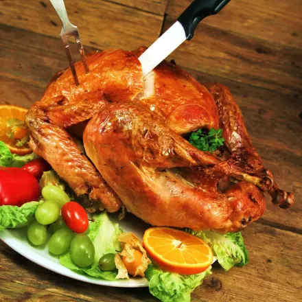 Truthahn – oberlecker