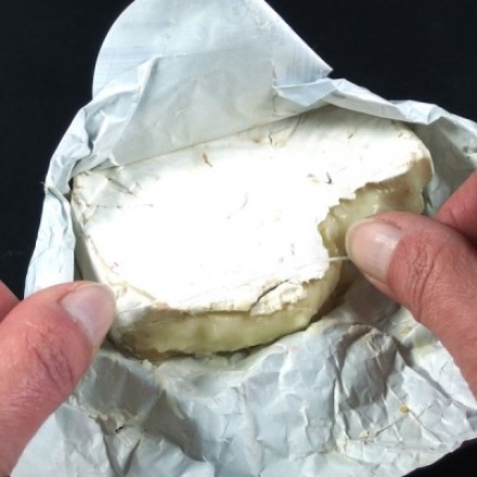 Zahnseide schneidet Käse & holt Kekse vom Backblech