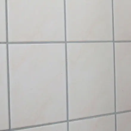 Schimmelflecken in Fugen beseitigen
