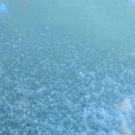 Keine vereisten Scheiben mehr im Auto