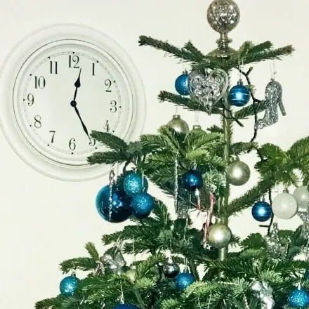 Weihnachtsbaum - sinnvolle(re) Entsorgung